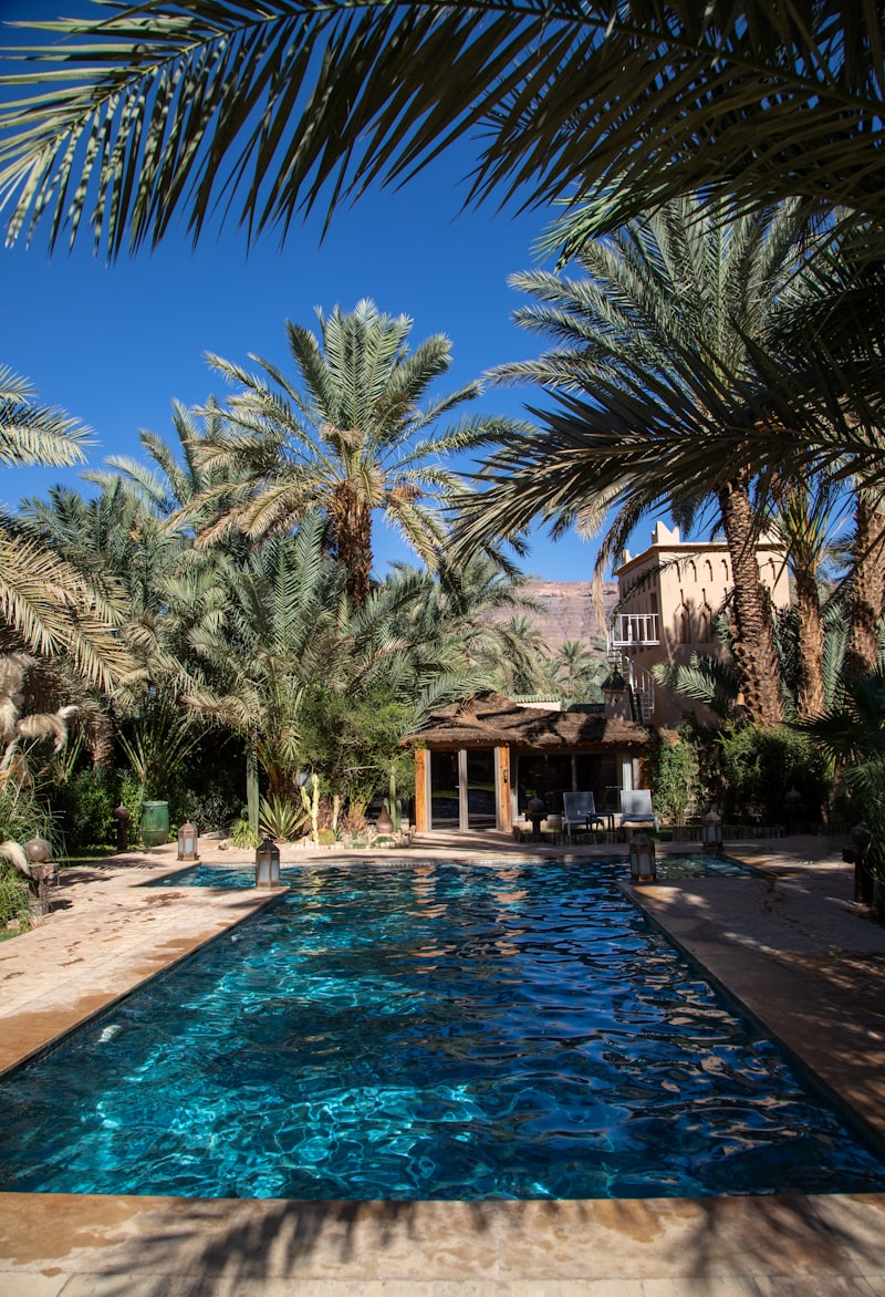 Tropical vacation pool with palm trees and relaxation areas
